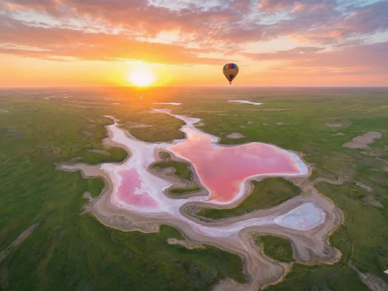Розовые озёра и фламинго