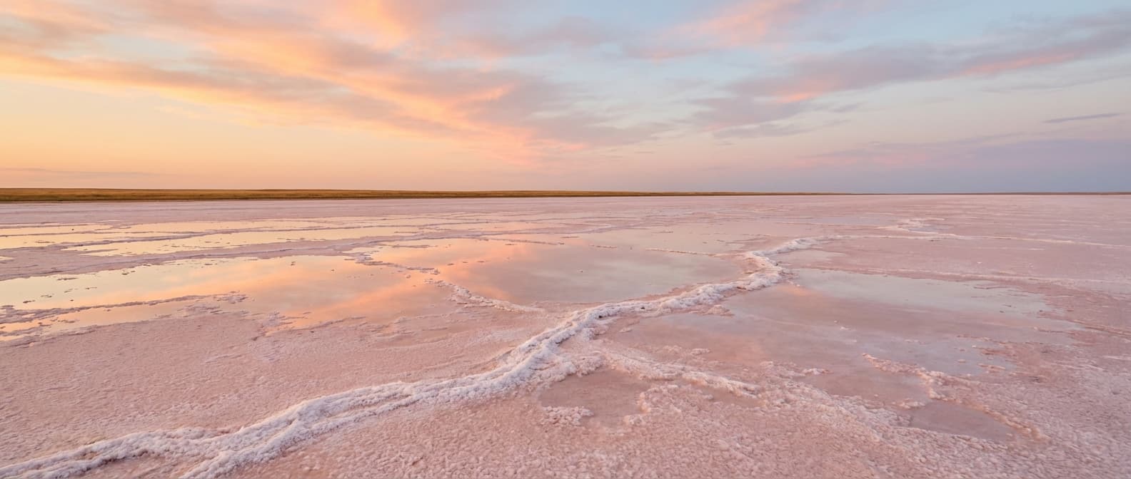 Соляная корка розового озера в Калмыкии