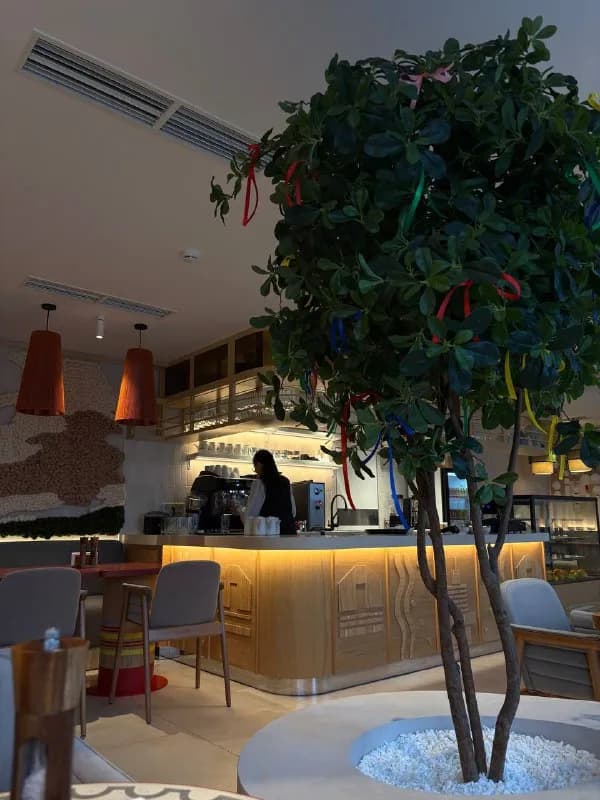 Барная стойка кафе — бариста, декоративное дерево с лентами