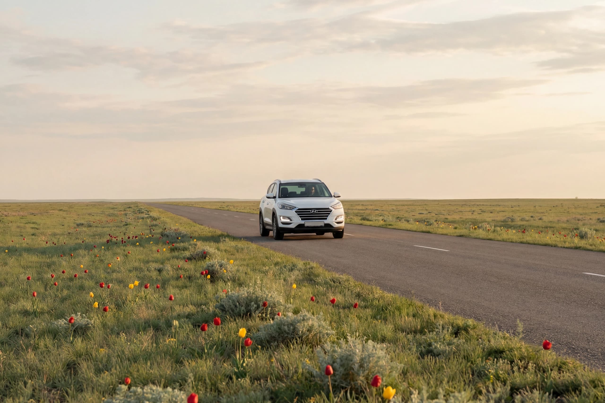 Как добраться до Калмыкии — маршруты на самолёте, поезде и автомобиле