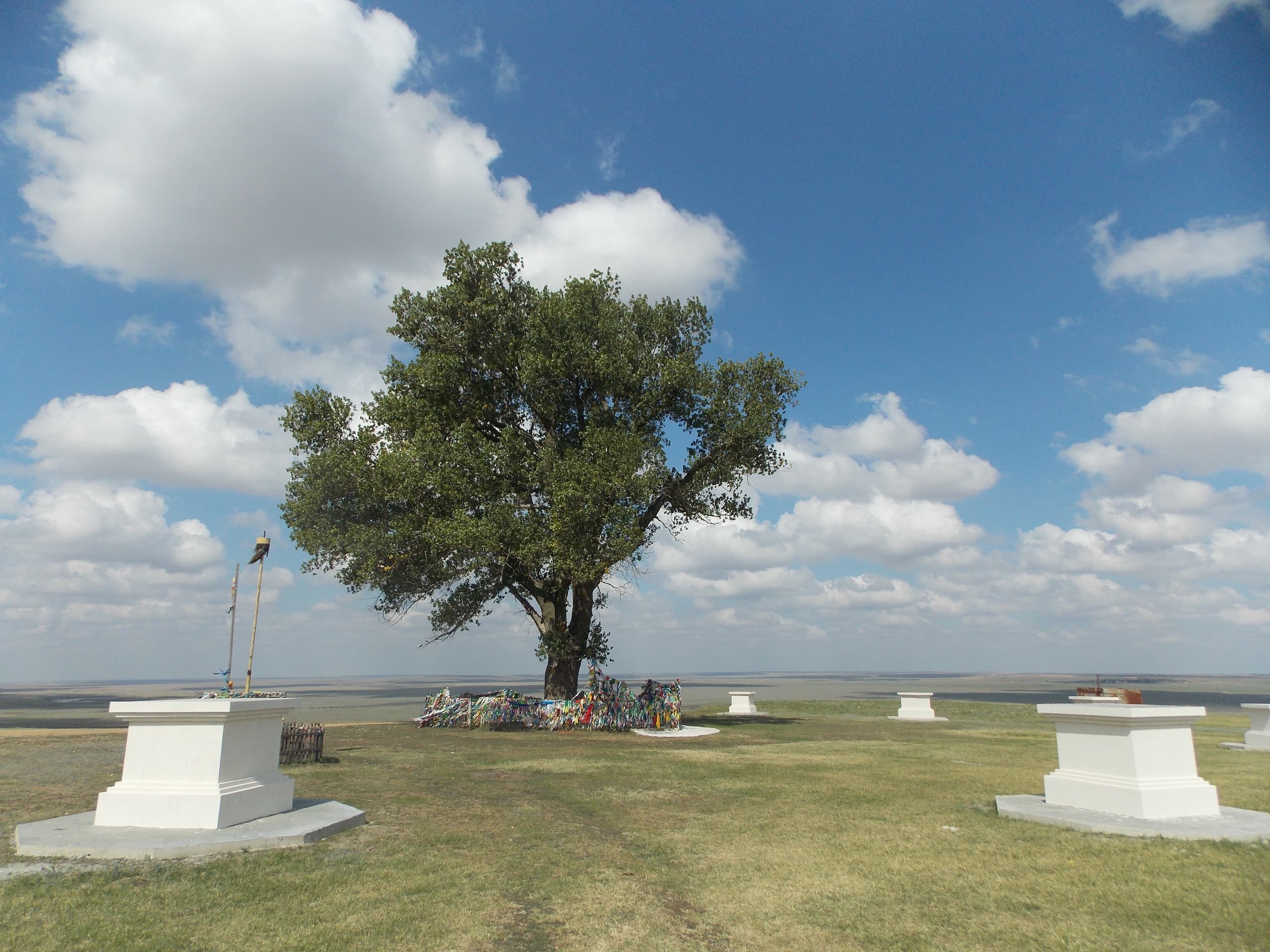 Одинокий тополь — священное дерево в калмыцкой степи, окружённое буддийскими ступами